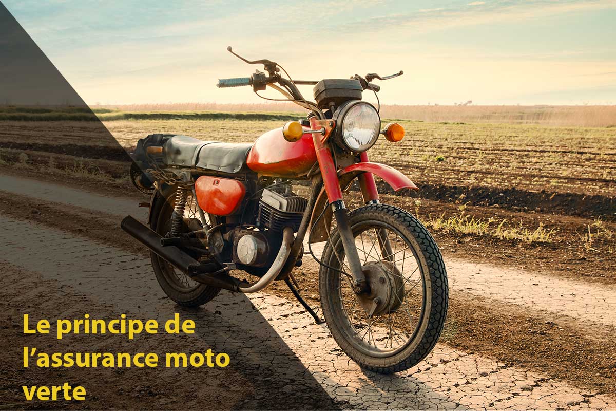 découvrez notre assurance moto verte, conçue pour protéger votre passion pour la moto tout en préservant l'environnement. profitez de garanties optimales, d'un service client attentionné et d'une approche durable pour une conduite responsable.