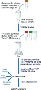 découvrez tout ce qu'il faut savoir sur le prélèvement amv : définition, fonctionnement, avantages et impacts sur vos finances. informez-vous pour mieux gérer vos prélèvements automatiques et optimiser votre budget.