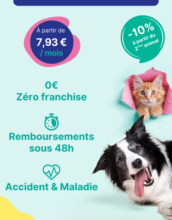 découvrez notre guide complet sur les couvertures proposées par assurances maa. explorez les différentes options d'assurance pour protéger votre santé, votre véhicule et vos biens. renseignez-vous sur les avantages et les garanties offertes afin de faire le choix qui convient le mieux à vos besoins.